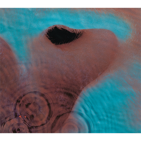PINK FLOYD - MEDDLE (1971 - REM16 | ED25)