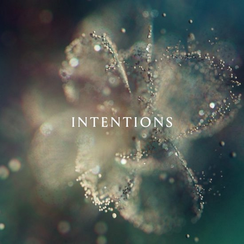 ANNA - INTENTIONS (2023)