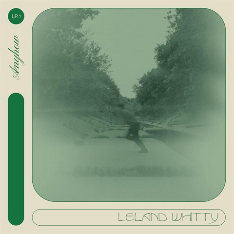 LELAND WHITTY - ANYHOW (LP - 2022)