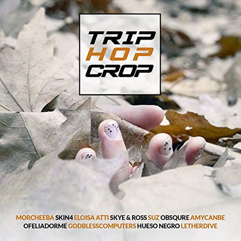 R DAVID AND FRIPP SYLVIAN - TRIP HOP CROP (2019)