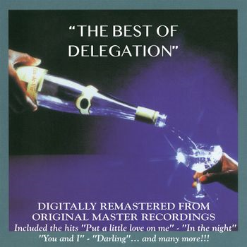 DELEGATION - THE BEST OF DELEGATION (LP - LTD 500 COPIES | CLRD - 2024)