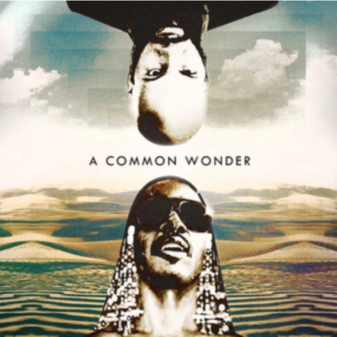 AMERIGO GAZAWAY - A COMMON WONDER (2LP - 2019)