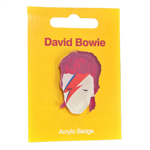 DAVID BOWIE - ALADDIN SANE - acrylic badge | spilla