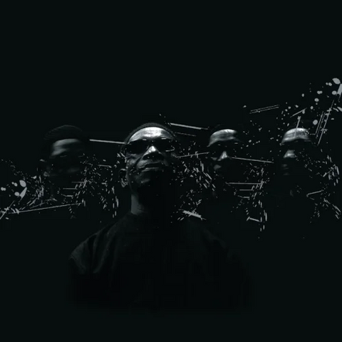 TONY ALLEN - HOMECOOKING (LP - REM26 - 2002)