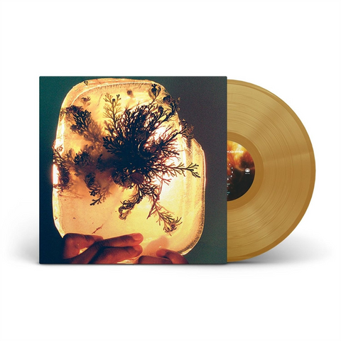 L'RAIN - FATA MORGANA (LP - GOLD - 2026)