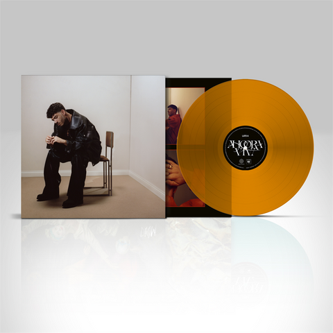 GIANNI BISMARK - ANCORA VIVI (LP - 2025)