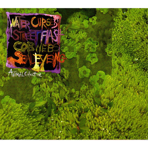 ANIMAL COLLECTIVE - WATER CURSES (2008 - EP | REM25)