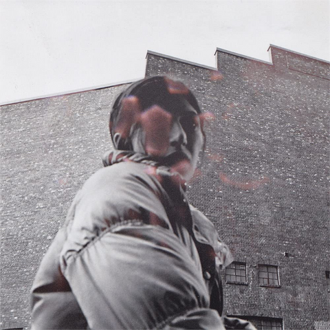 ALDOUS HARDING - WARM CHRIS (2022)