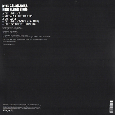 HIGH FLYING BIRDS GALLAGHER'S NOEL - THIS IS THE PLACE (12'' - 2020)