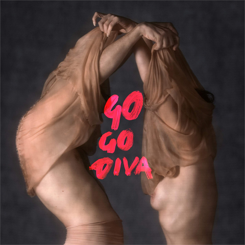 LA RAPPRESENTANTE DI LISTA - GO GO DIVA (LP)