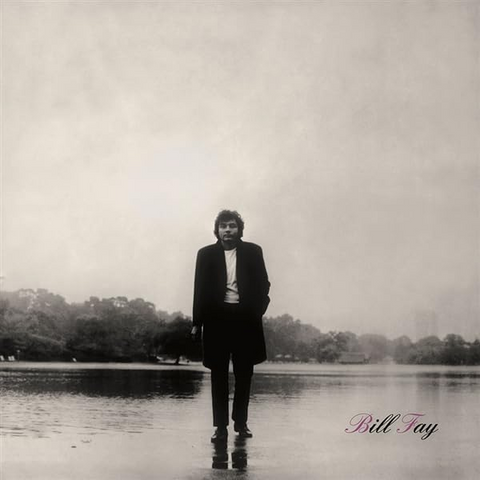 BILL FAY - BILL FAY (LP - REM25 - 1970)
