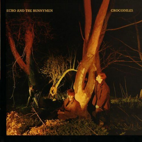 ECHO & THE BUNNYMEN - CROCODILES (1980 - REM04)