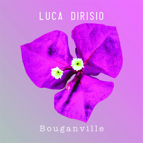 DIRISIO LUCA - BOUGANVILLE (2019)