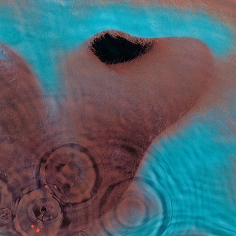 PINK FLOYD - MEDDLE (REM.)