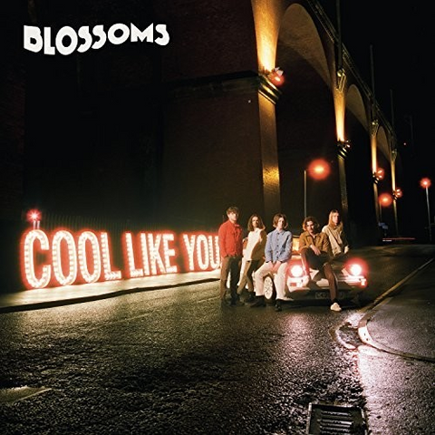 BLOSSOMS - COOL LIKE YOU (2018)