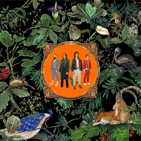 DON BROCO - AMAZING THINGS (LP - 2022)