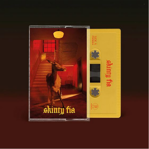 FONTAINES DC - SKINTY FIA (2022 – MUSICASSETTA)