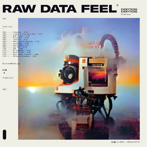 EVERYTHING EVERYTHING - RAW DATA FEEL (LP - pink | indie exl - 2022)