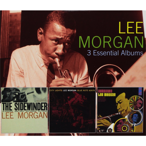 MORGAN LEE - 3 ESSENTIAL ALBUMS (3 CD)