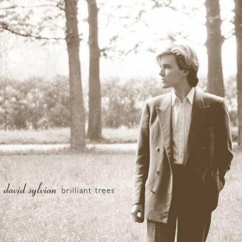 DAVID SYLVIAN - BRILLIANT TREES (1984 - REM15 | JAPAN)