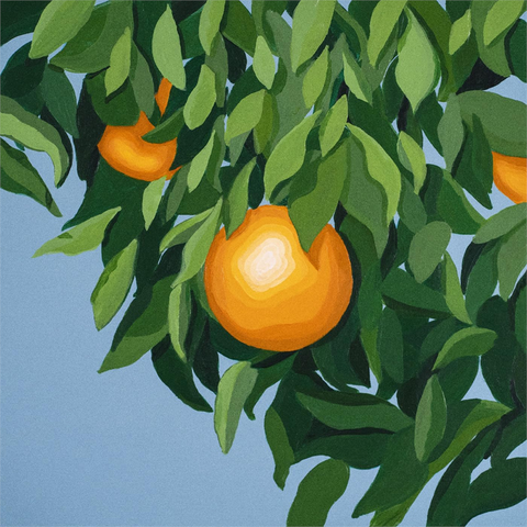 TYLER BALLGAME - FOR THE FIRST TIME AGAIN (2026)