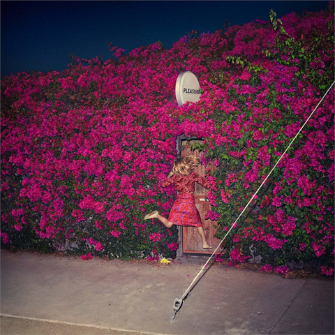 FEIST - PLEASURE (2017)