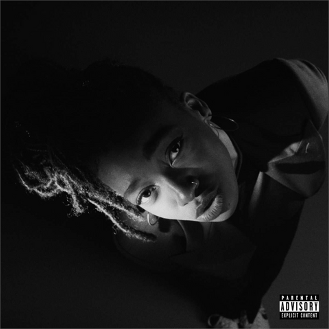 LITTLE SIMZ - GREY AREA (LP - 2019)